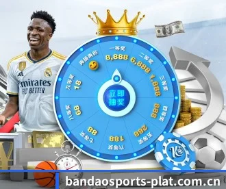 半岛体育平台 APP 深度功能 - BandaoSports